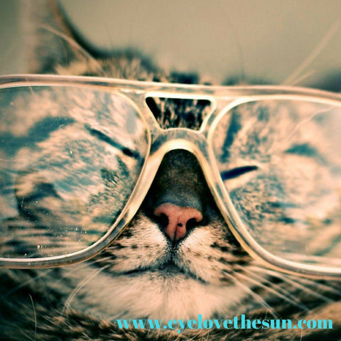Nerd Alert: What We Know About Dry Eye Disease Today