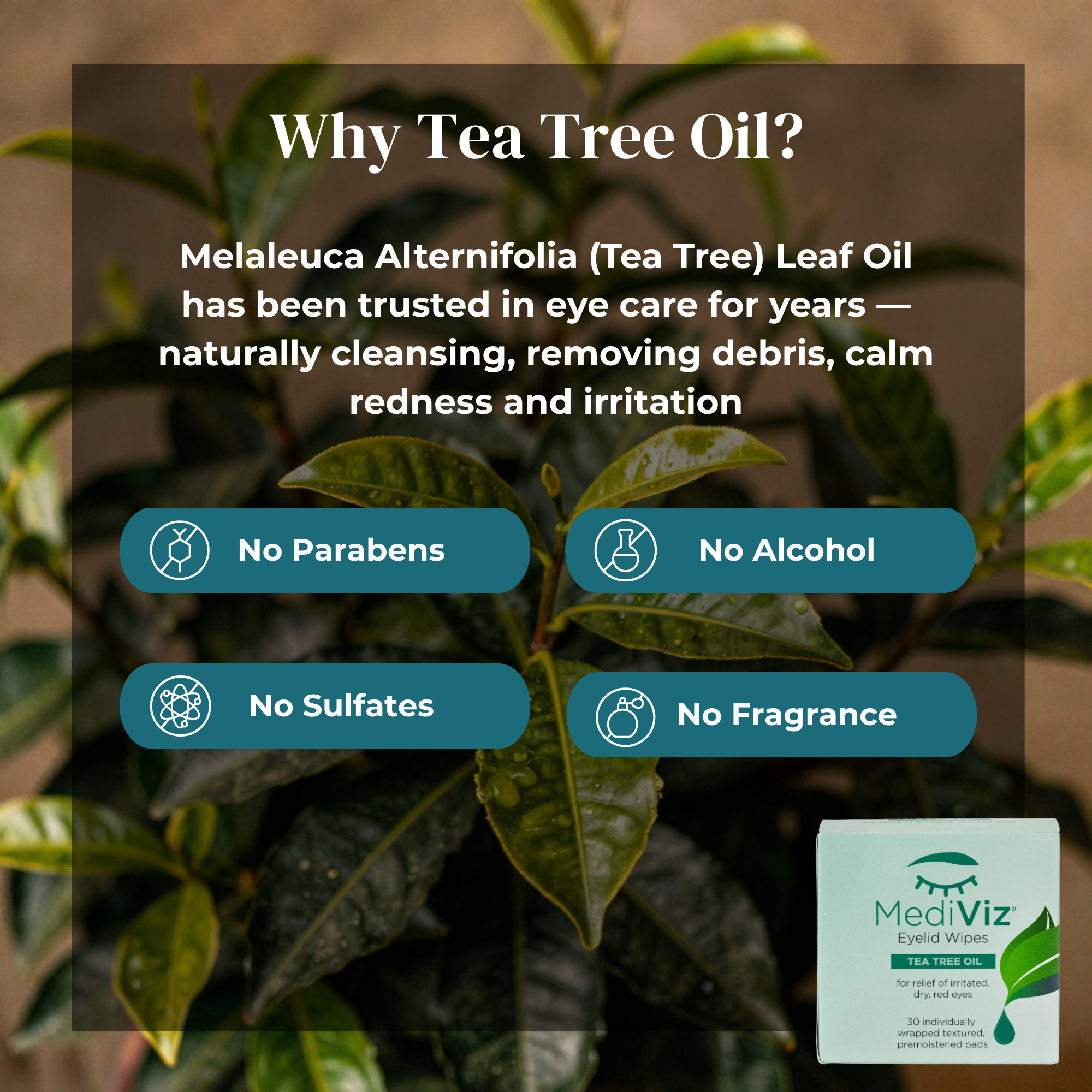 Eye Love MediViz Tea Tree Eyelid Wipes - 30 Eyelash & Eyelid Scrub Towelettes